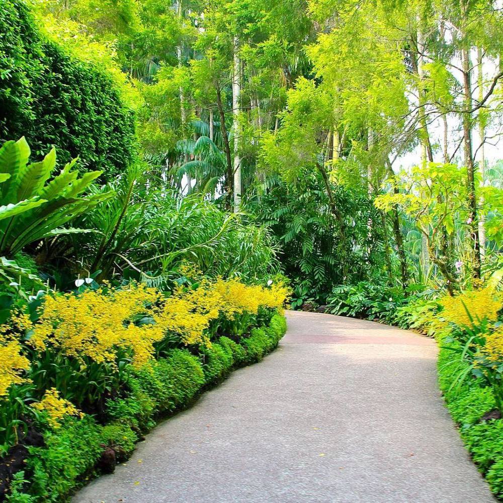 Meet your Posher, Aegle